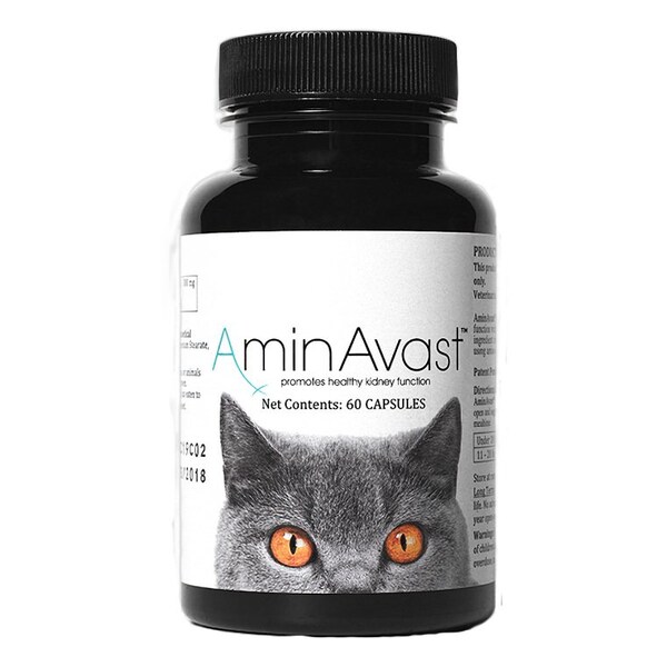 Aminavast Phv, feline, 300mg, 60PK 48993 - main